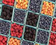 Černica, moruša, acai, skrátka berry... 